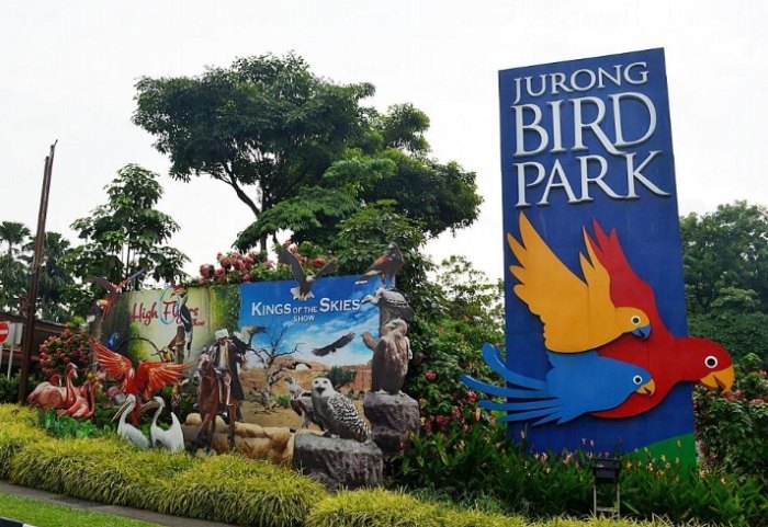 新加坡飛禽公園行程建議 新加坡飛禽公園行程建議