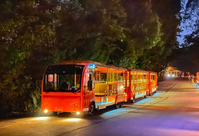 新加坡夜間動物園攻略