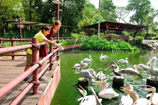 新加坡飛禽公園交通 新加坡飛禽公園交通
