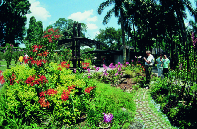 新加坡植物園​門票