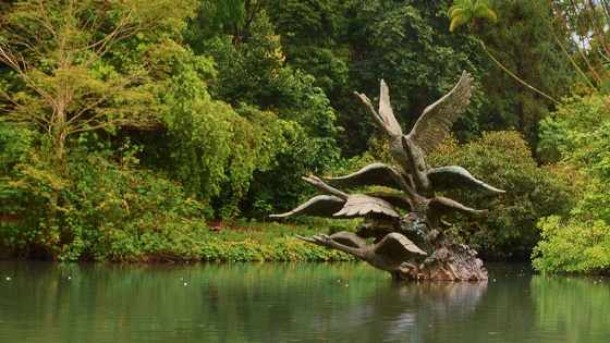 新加坡植物園門票 新加坡植物園門票